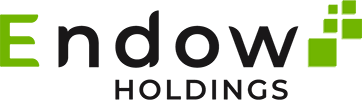 Endow Holdings